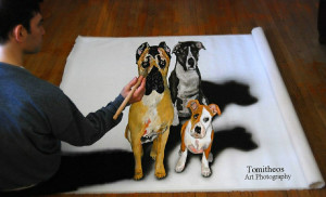 3D pet portrait paintings optical illusion